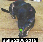 Bella 2006-2015